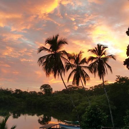 Panama Eco Resort Tierra Oscura Exteriör bild