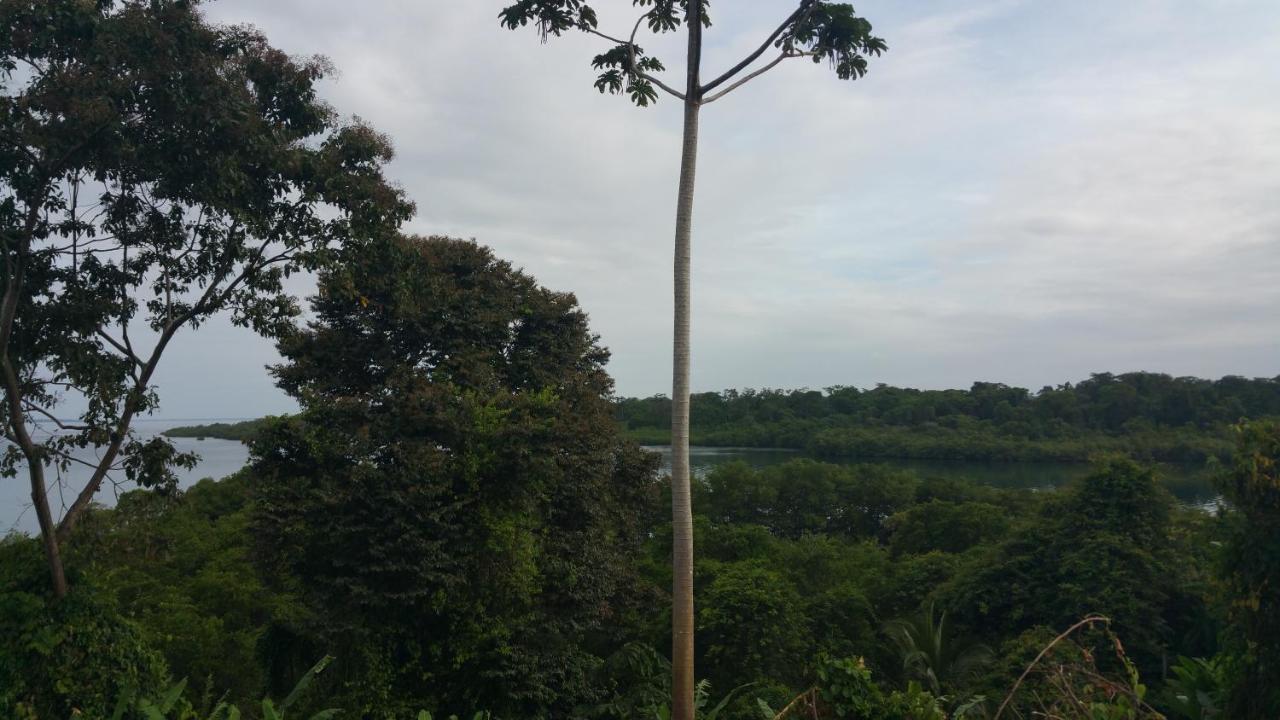 Panama Eco Resort Tierra Oscura Exteriör bild