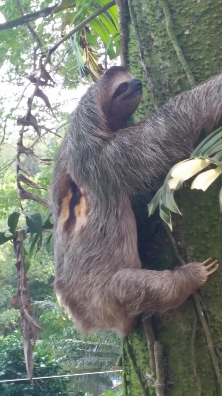 Panama Eco Resort Tierra Oscura Exteriör bild