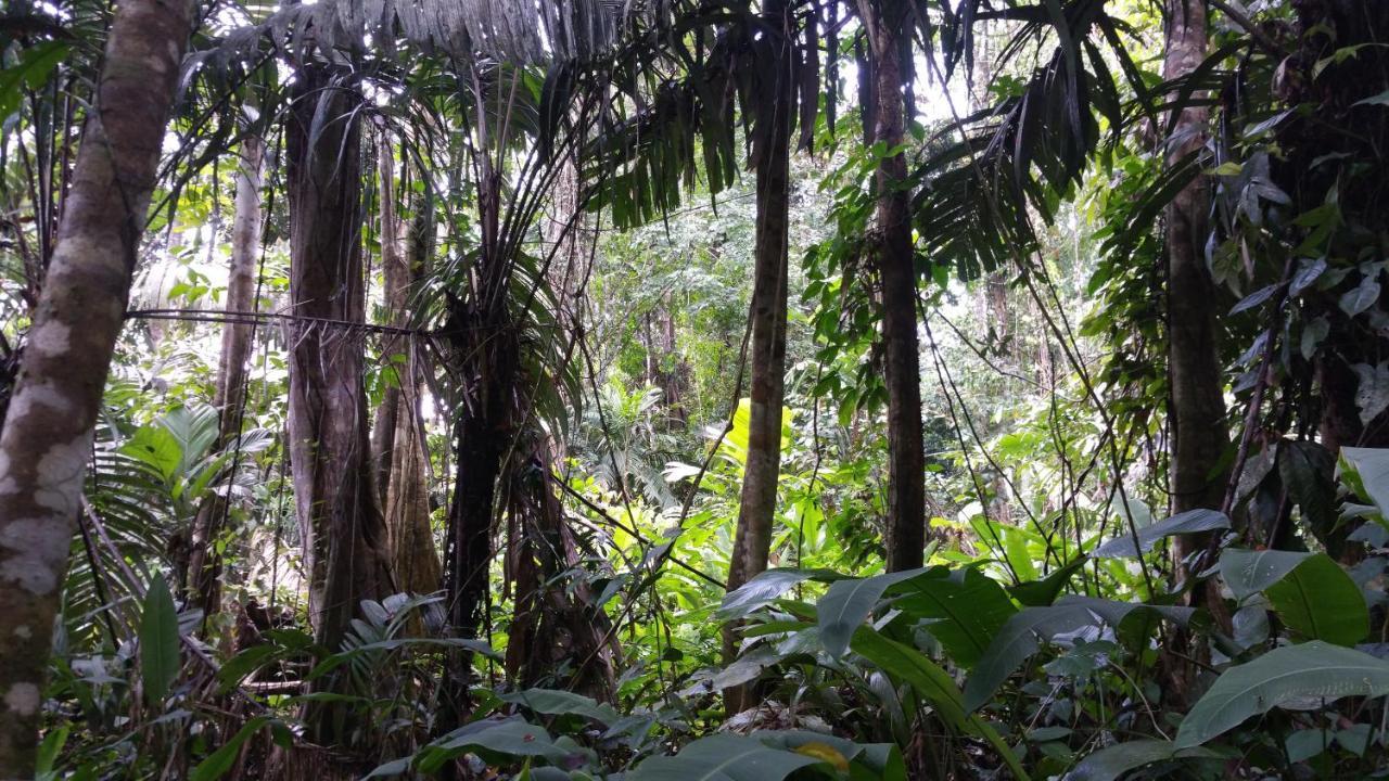 Panama Eco Resort Tierra Oscura Exteriör bild